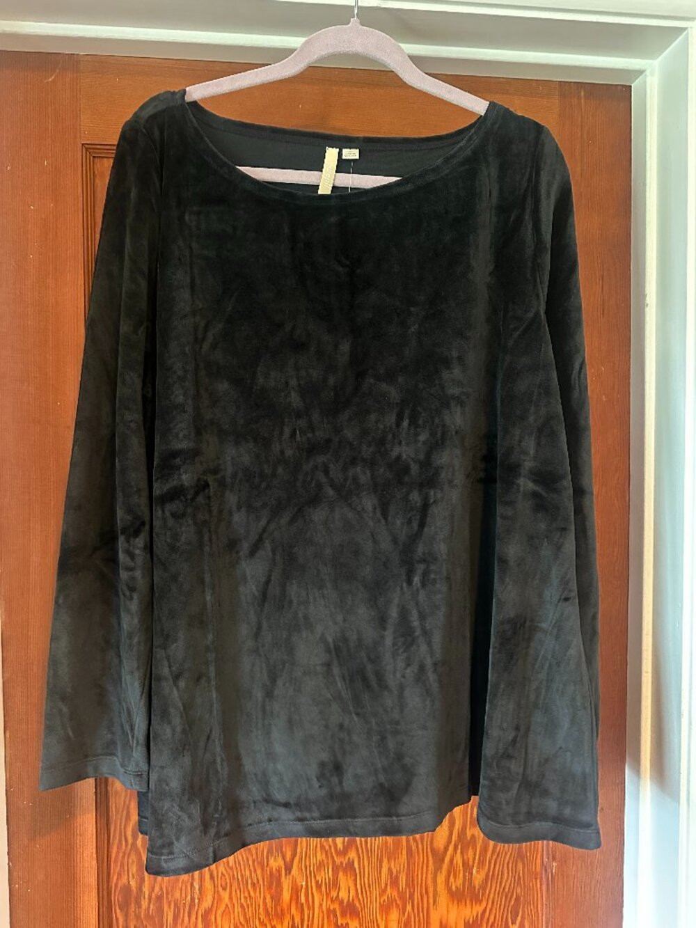 J.Jill Purejill Velour Long Sleeve Top NWT